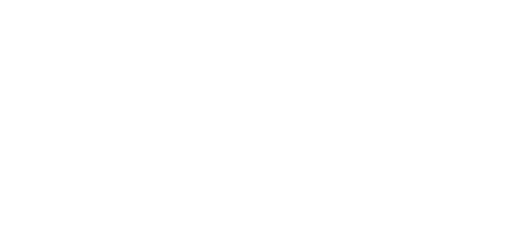 Flash Pub